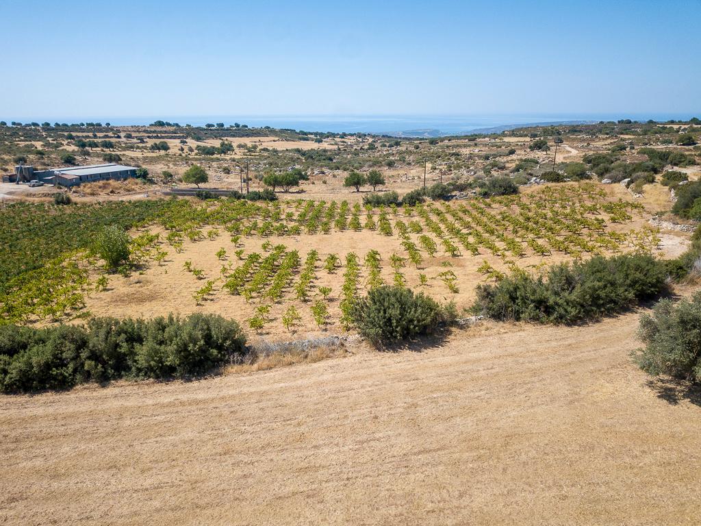 Field-Pachna-PR39633