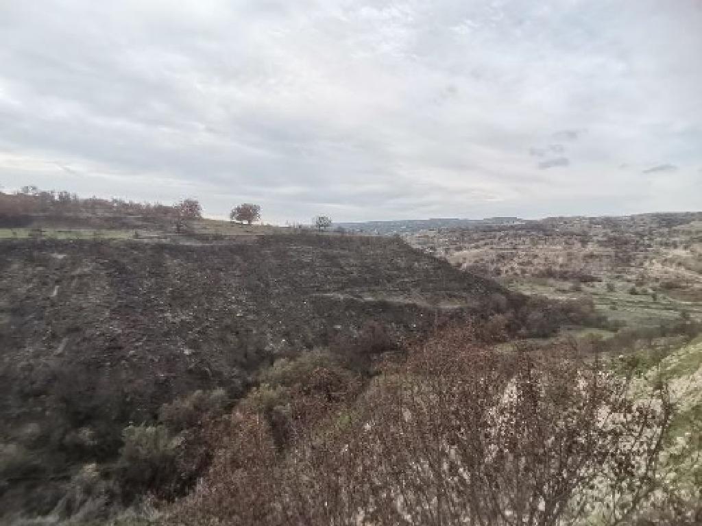 Field-Choulou-PR42858