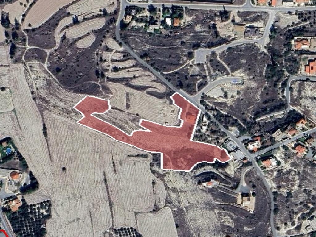 Field-Dali-PR42472