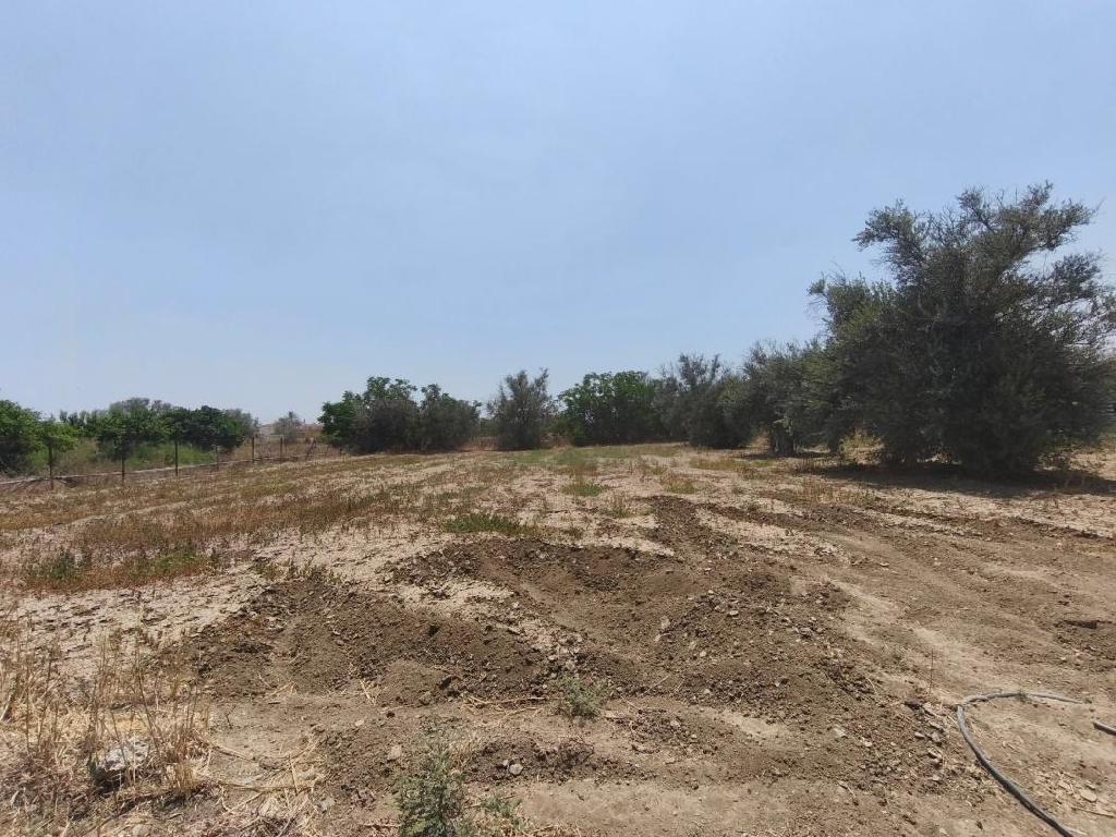 X&omega;&rho;ά&phi;&iota; - &Pi;ά&nu;&omega; &Delta;&epsilon;&upsilon;&tau;&epsilon;&rho;ά, &Lambda;ά&rho;&nu;&alpha;&kappa;&alpha;