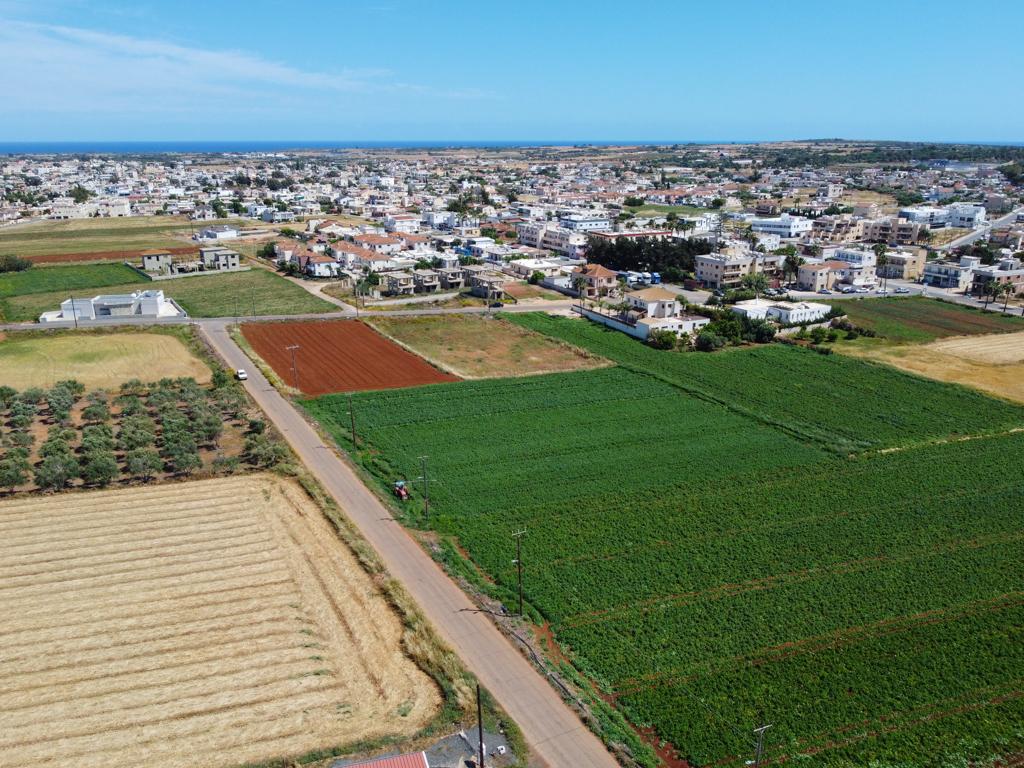 Field - Xylofagou, Larnaca