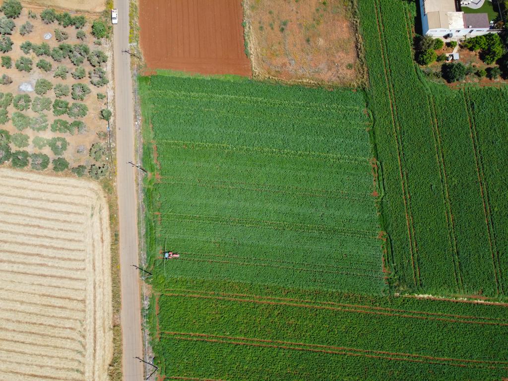 Field-Xylofagou-PR13887