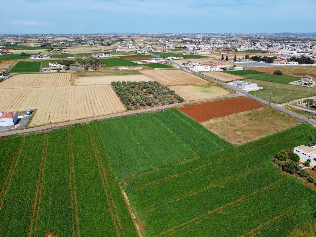 Field - Xylofagou, Larnaca