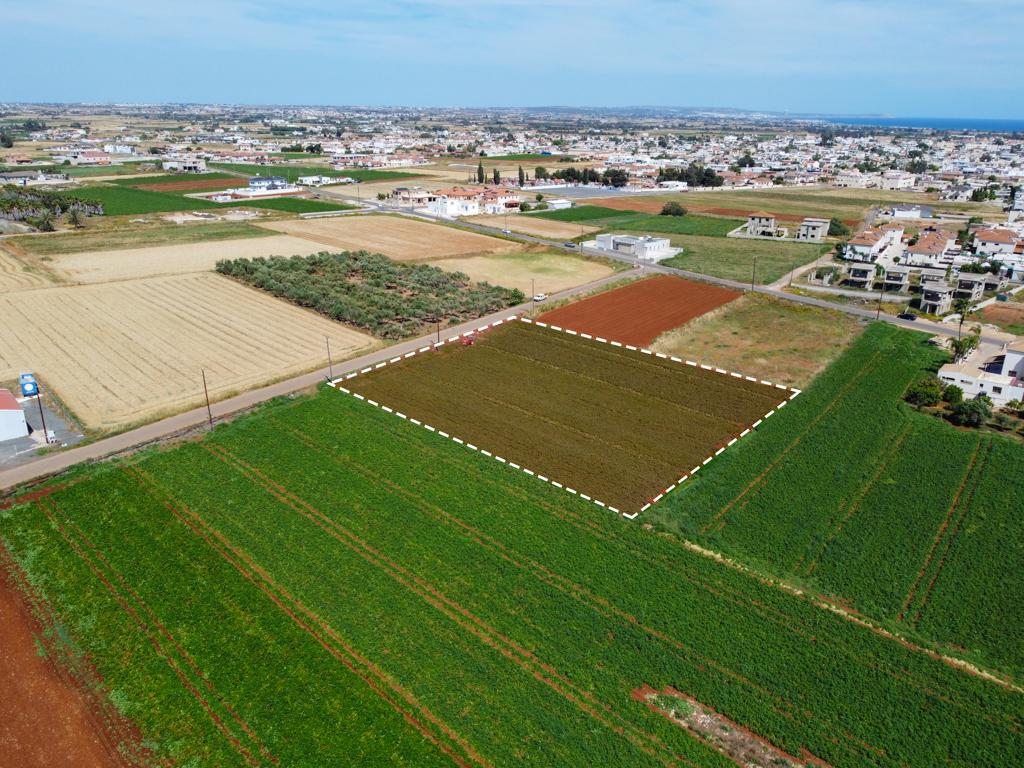 Field - Xylofagou, Larnaca
