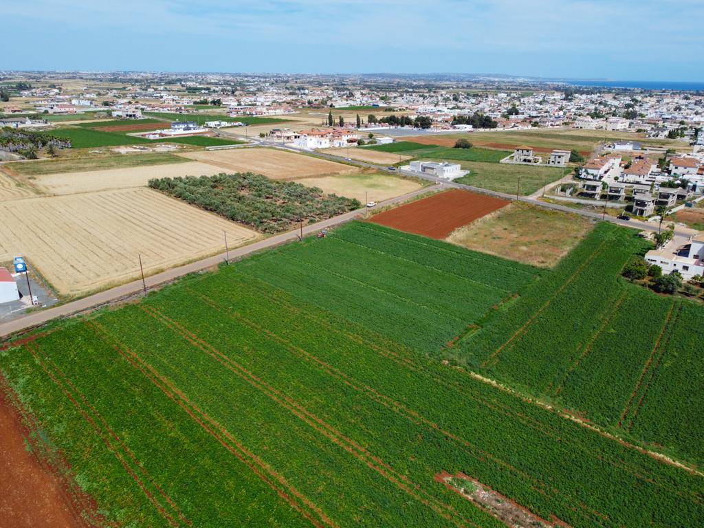 Field - Xylofagou, Larnaca