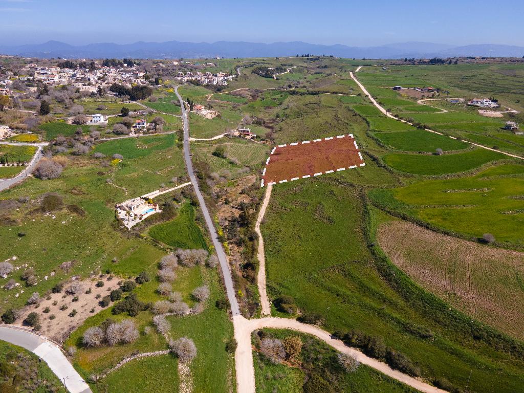 Field-Pano Arodes-PR10285