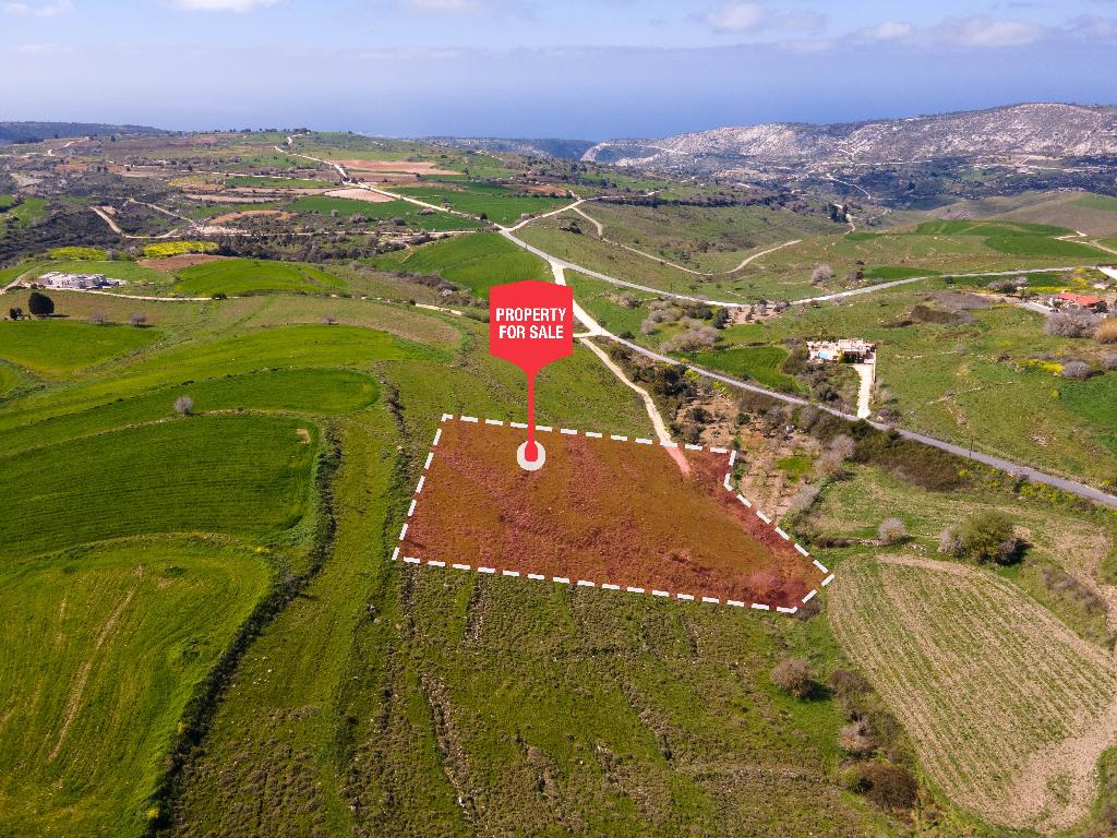 Field-Pano Arodes-PR10285