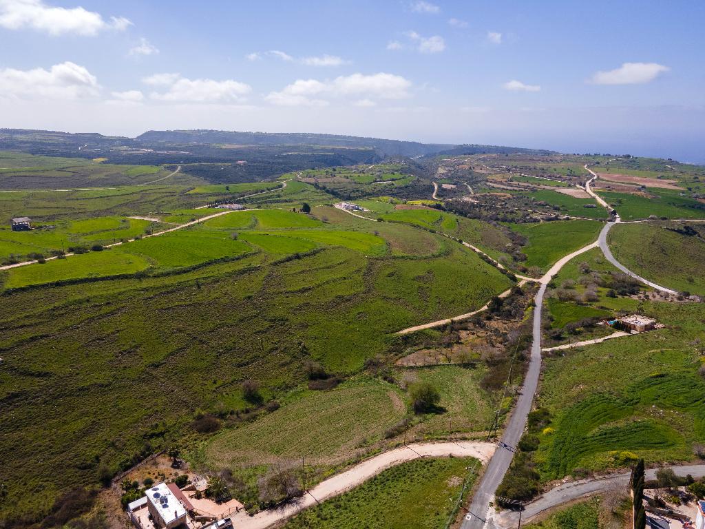 Field-Pano Arodes-PR10285