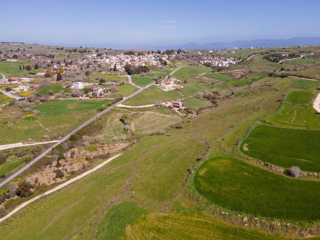 Field-Pano Arodes-PR10285