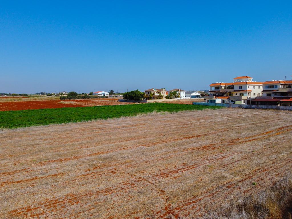 Field-Liopetri-PR12125