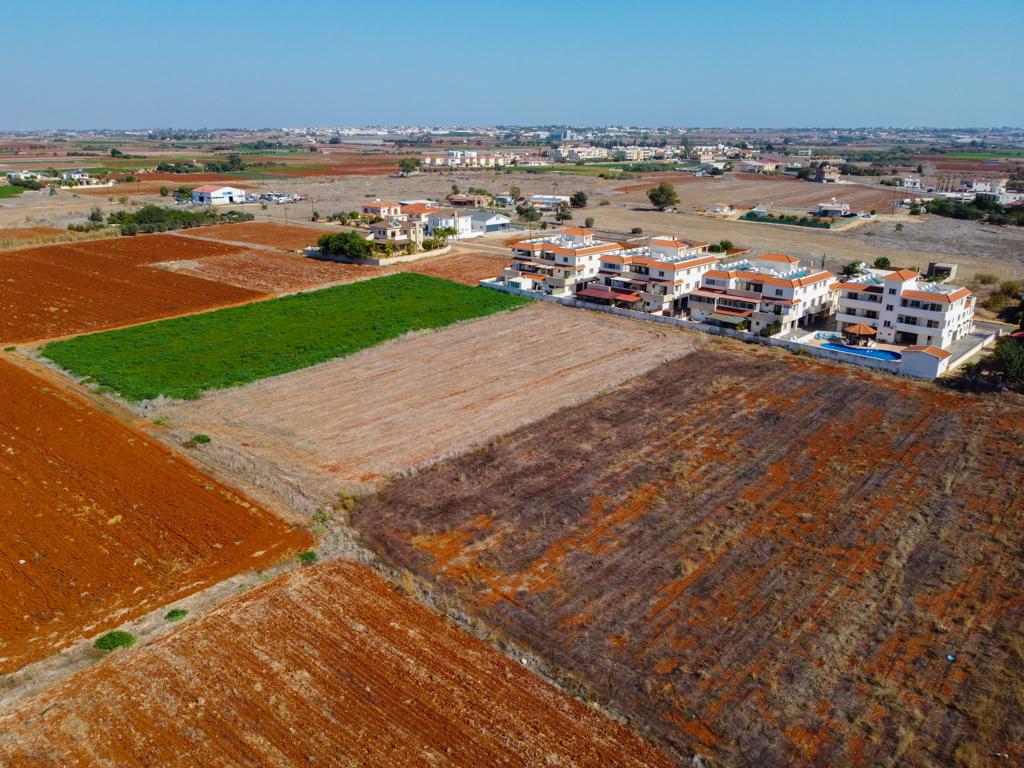 Field-Liopetri-PR12125