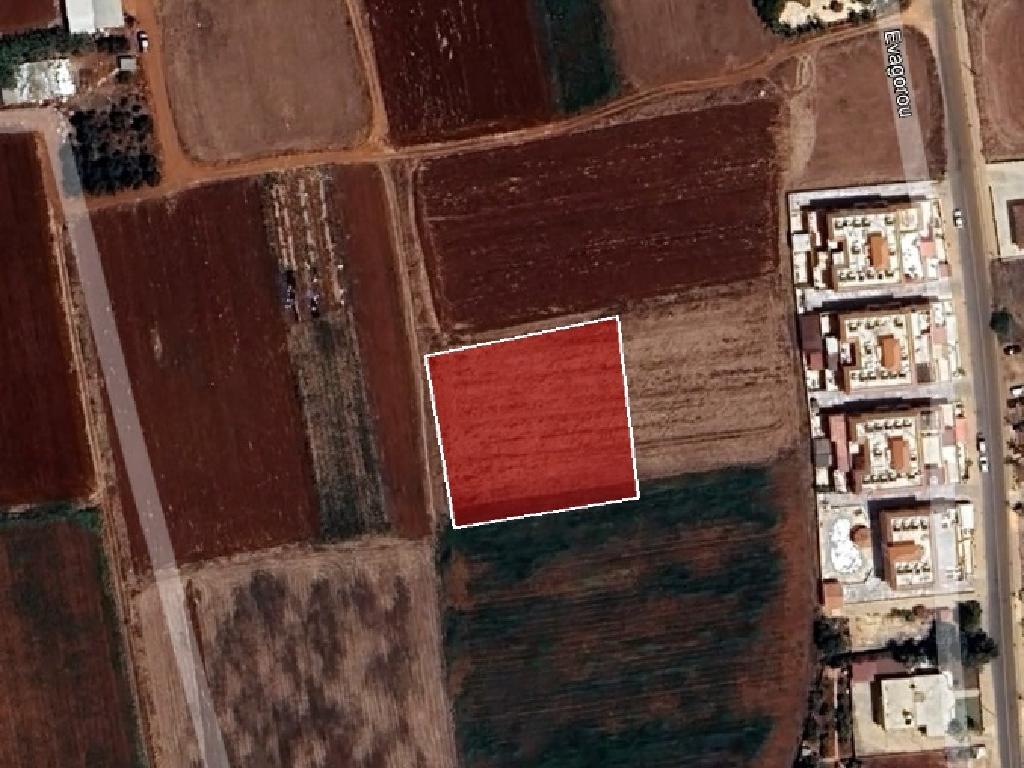 Field-Liopetri-PR12125