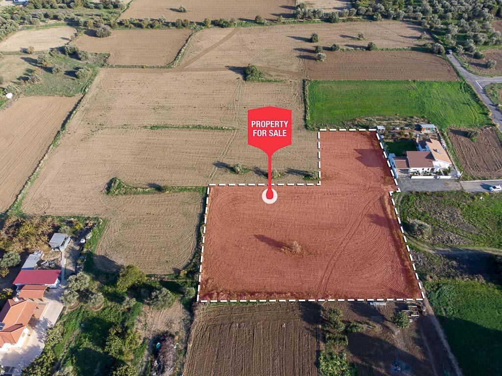 Field-Episkopeio-PR32246