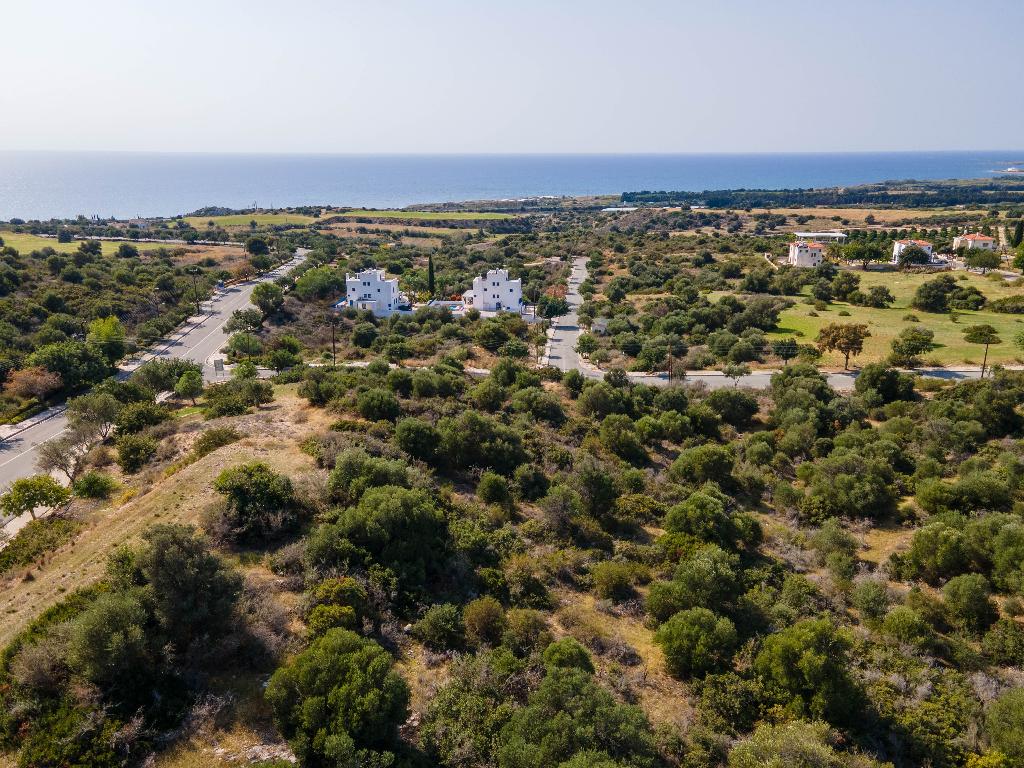 Plot (Share) - Kouklia, Paphos