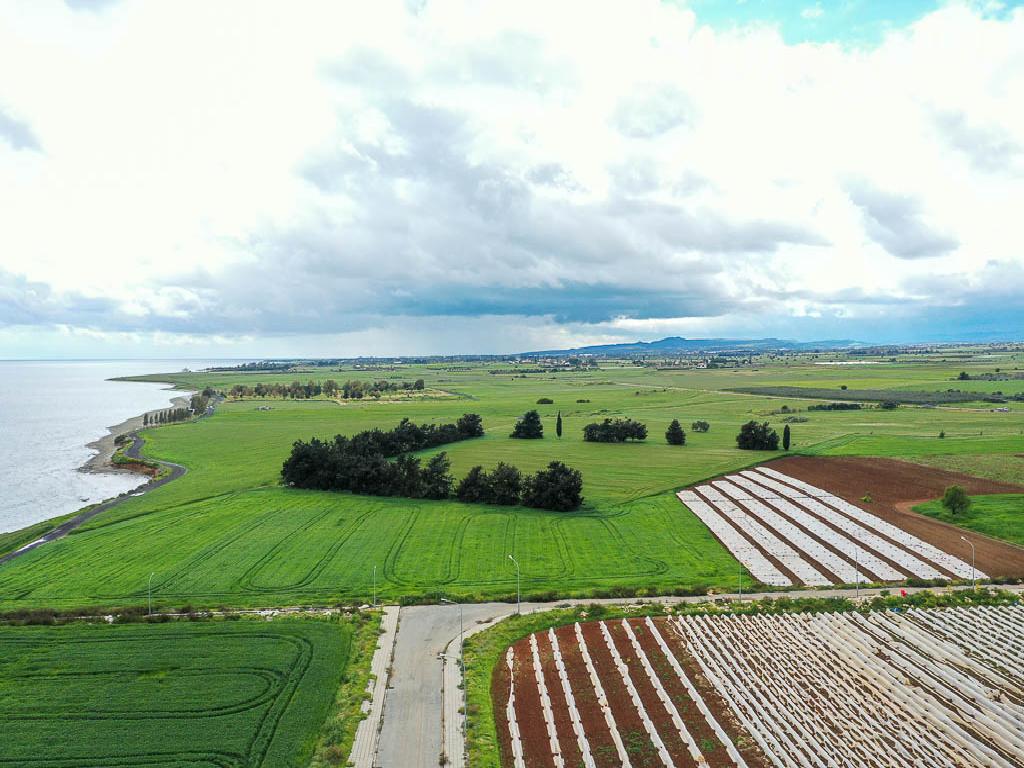 Field-Softades-PR30718