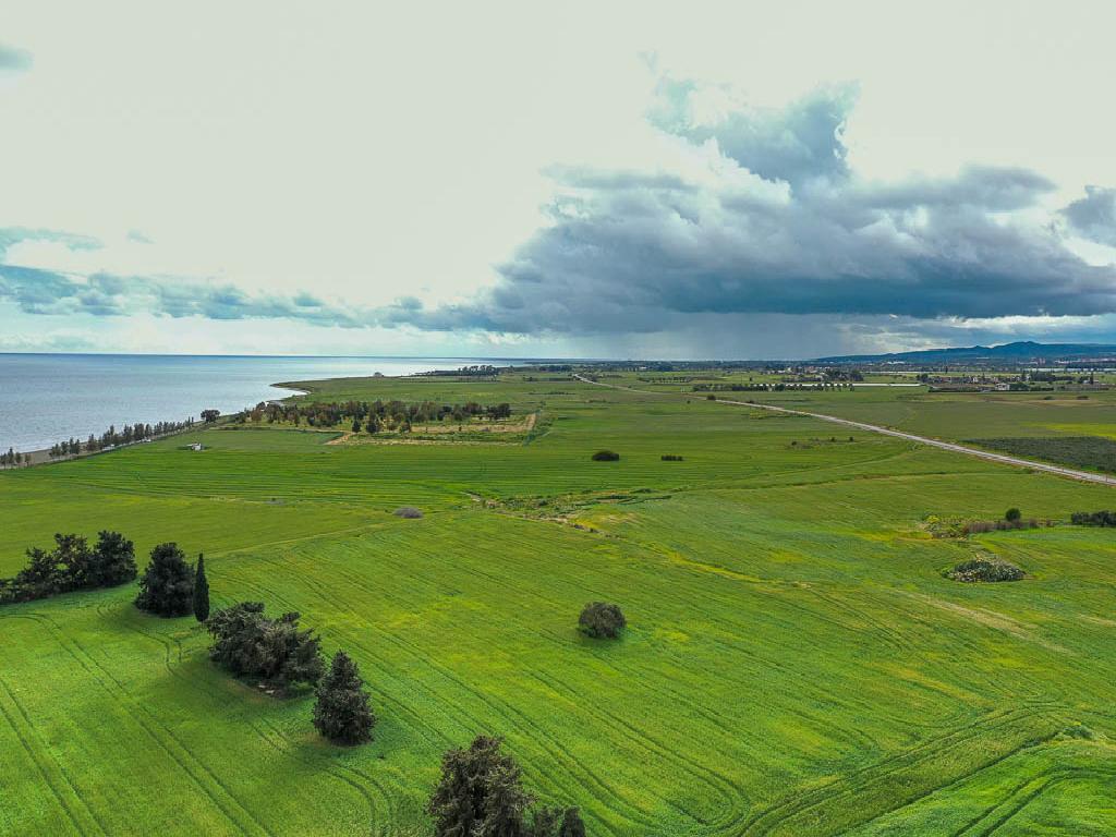 Field-Softades-PR30718