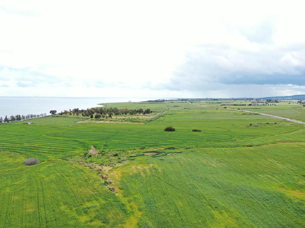 Field-Softades-PR30718