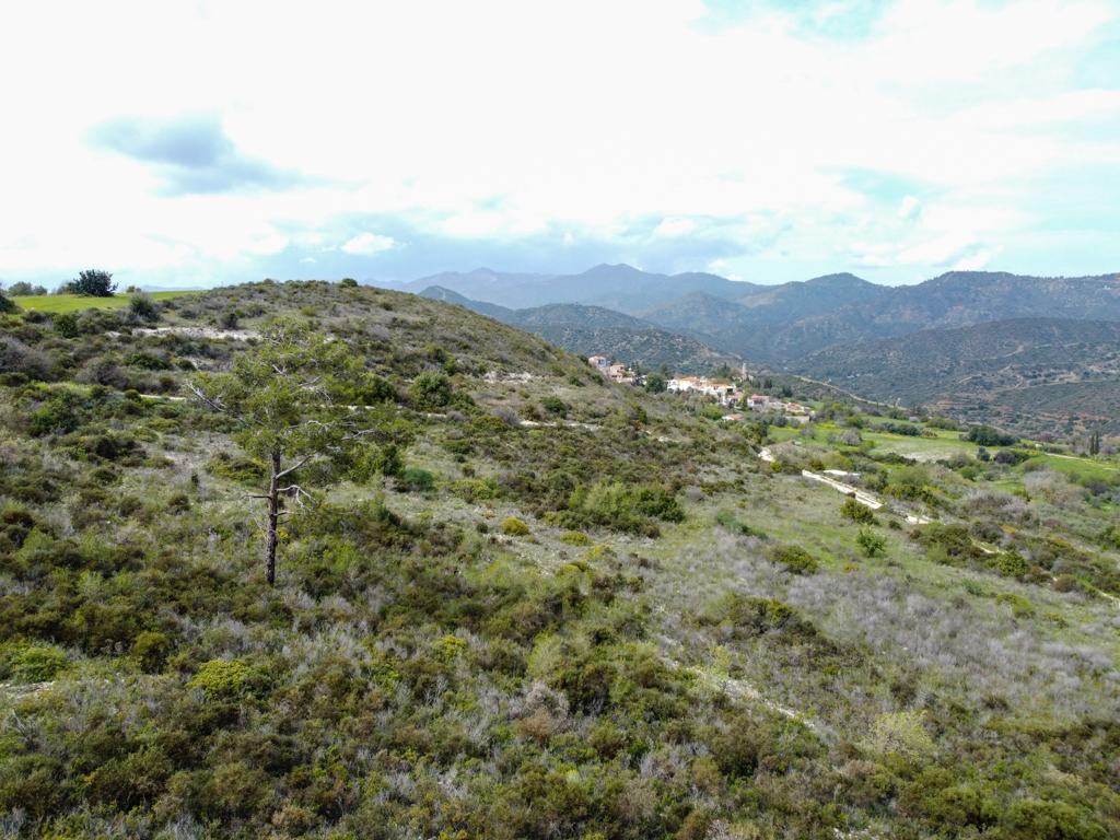 Field (Share) - Vavla, Larnaca