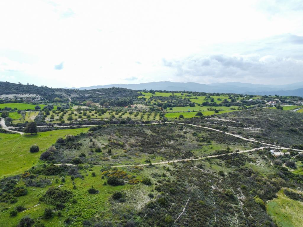 Field (Share) - Vavla, Larnaca