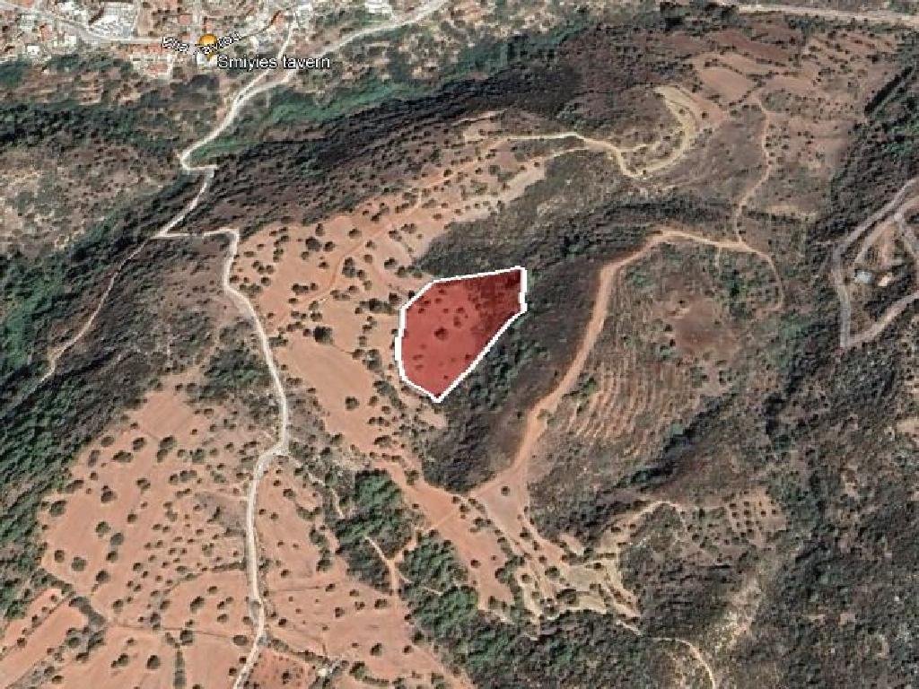 Field-New Chorio-PR35586
