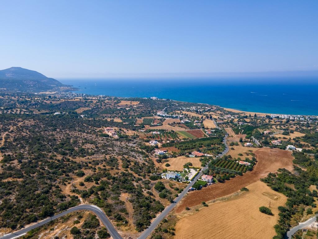Field-New Chorio-PR35586