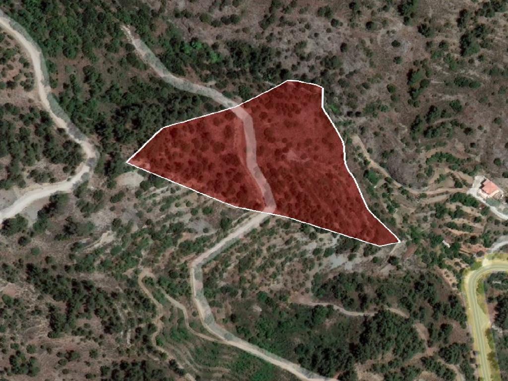 Field-Saranti-PR35668