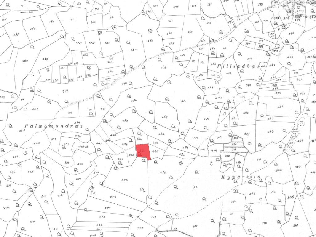 Field-Pachna-PR36486