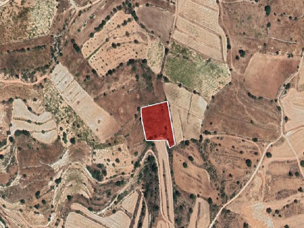 Field-Pachna-PR36486