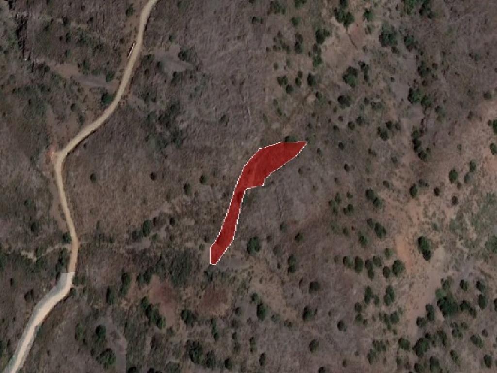 Field-Fterikoudi-PR36523