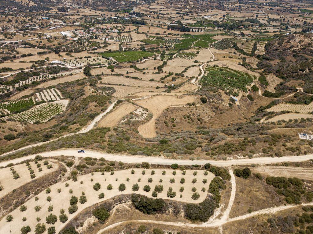 Field-Pissouri-PR37258