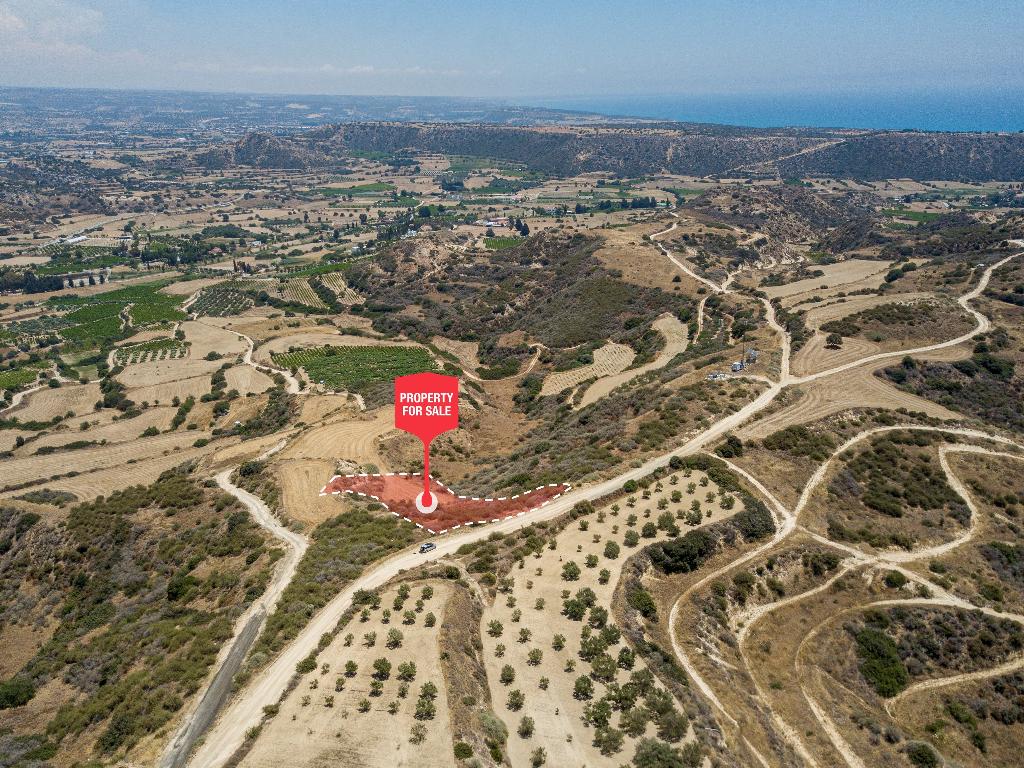 Field-Pissouri-PR37258
