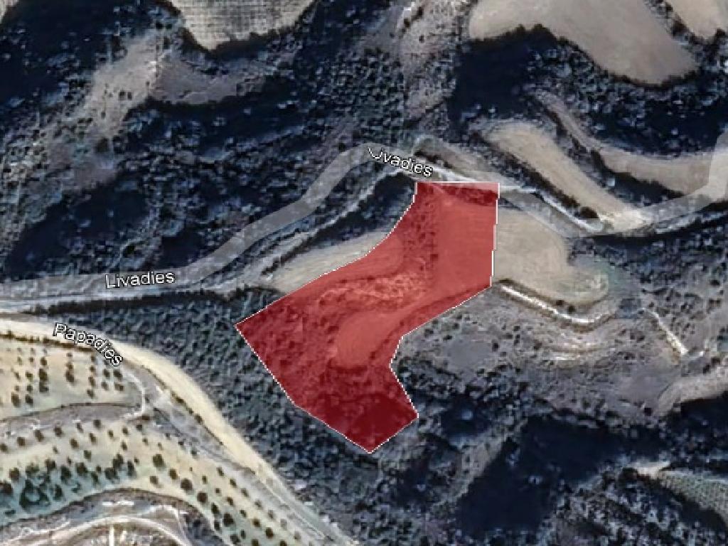 Field-Pissouri-PR37258