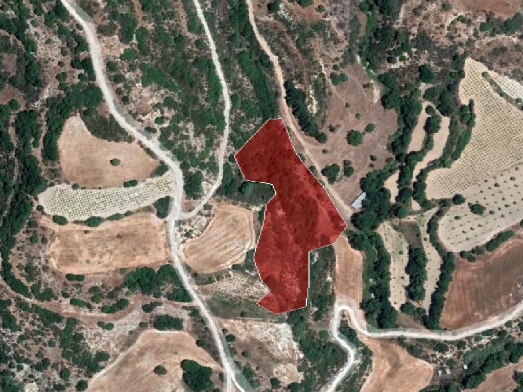 Field-Psathi-PR36265