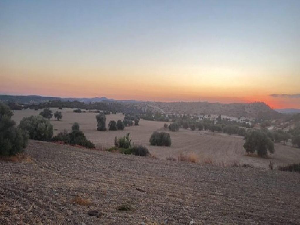 Field-Agglisides-PR38491