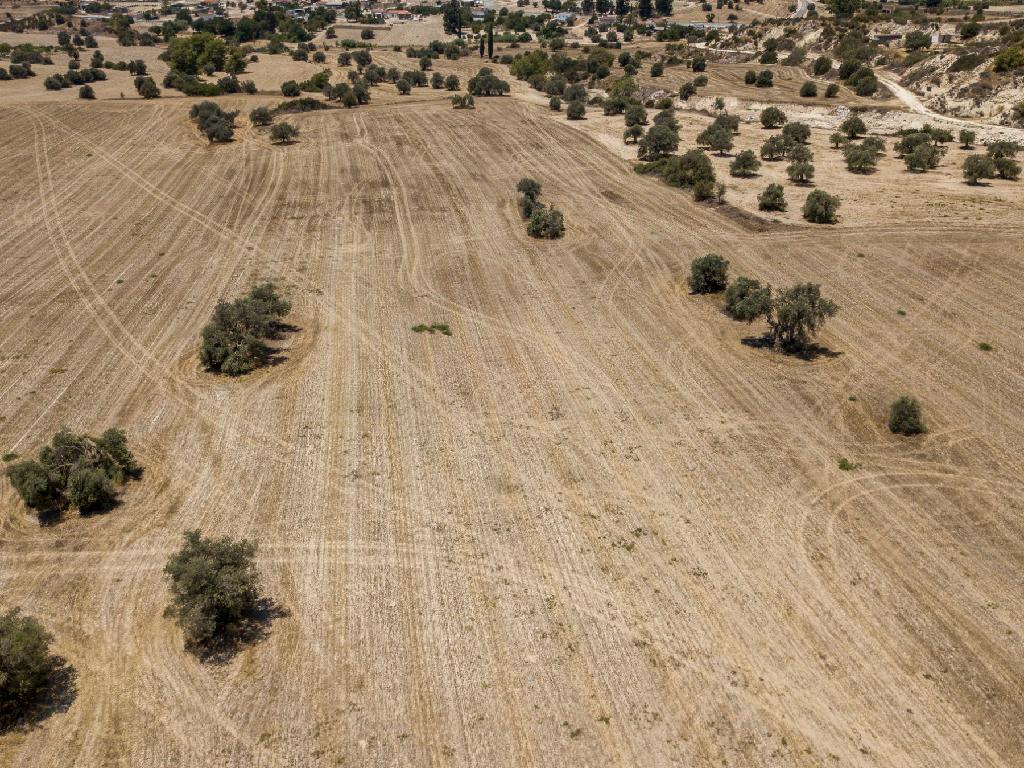 Field (Share) - Agglisides, Larnaca