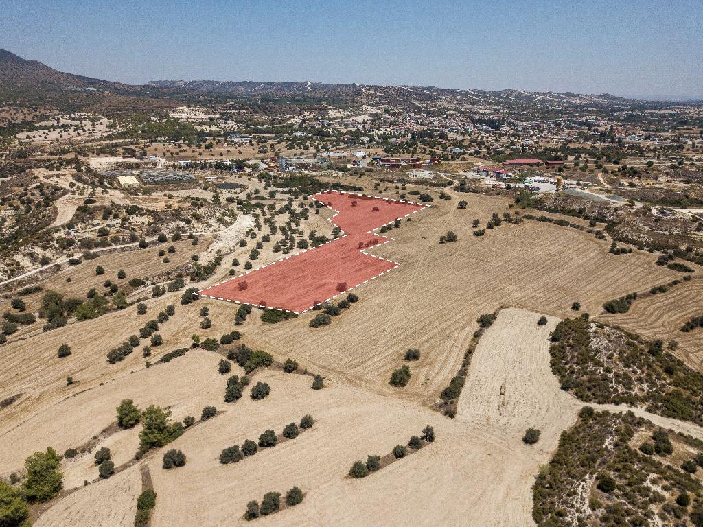 Field (Share) - Agglisides, Larnaca