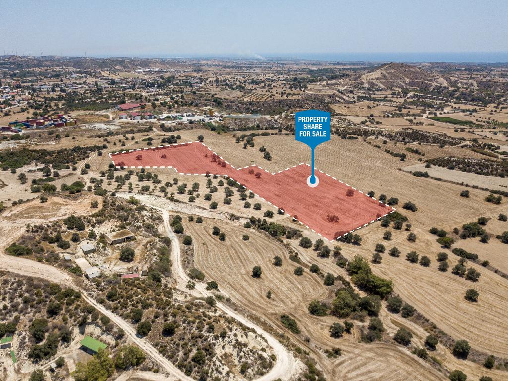 Field (Share) - Agglisides, Larnaca