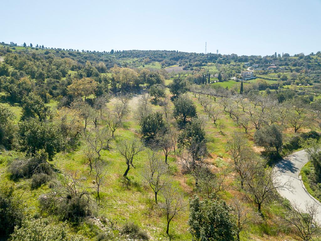 Field-Meladeia-PR39998
