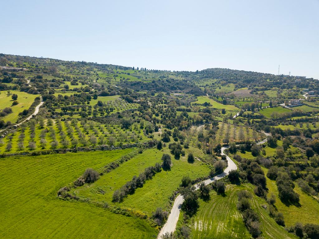 Field-Meladeia-PR39998