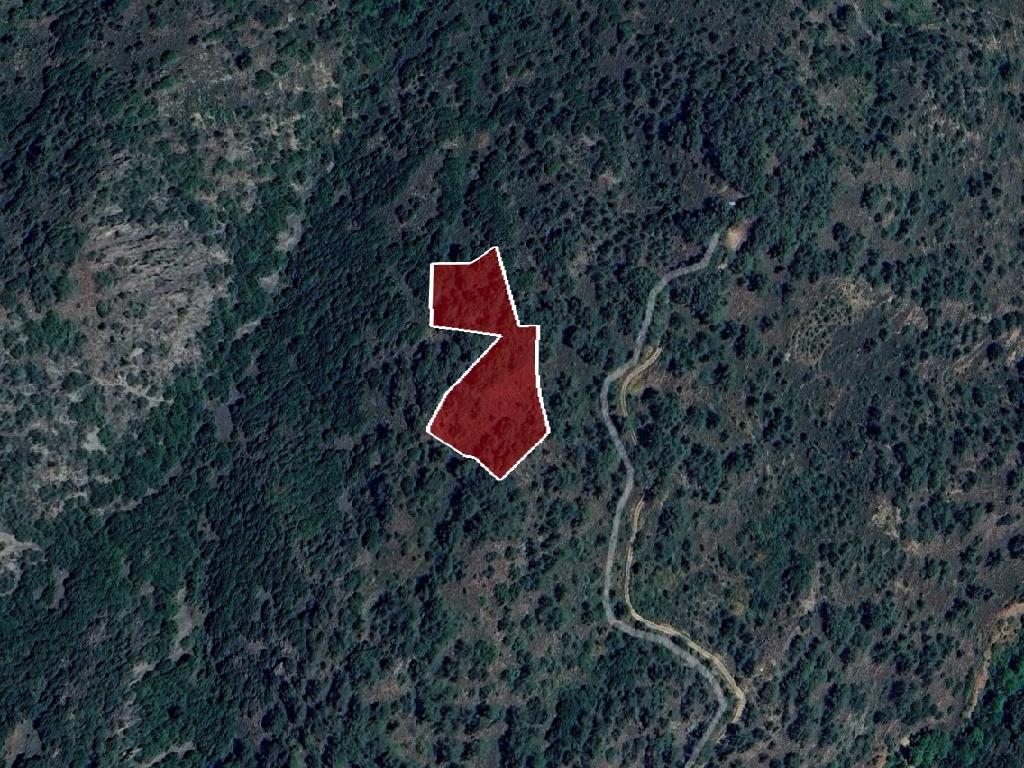 Field-Palaichori Morfou-PR40169