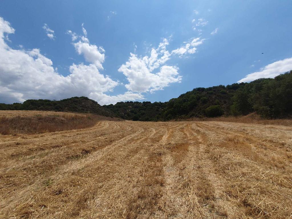 Field (share) - Lemona, Paphos