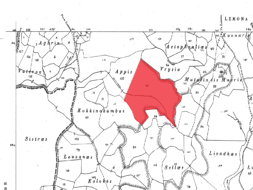 Field (share) - Lemona, Paphos