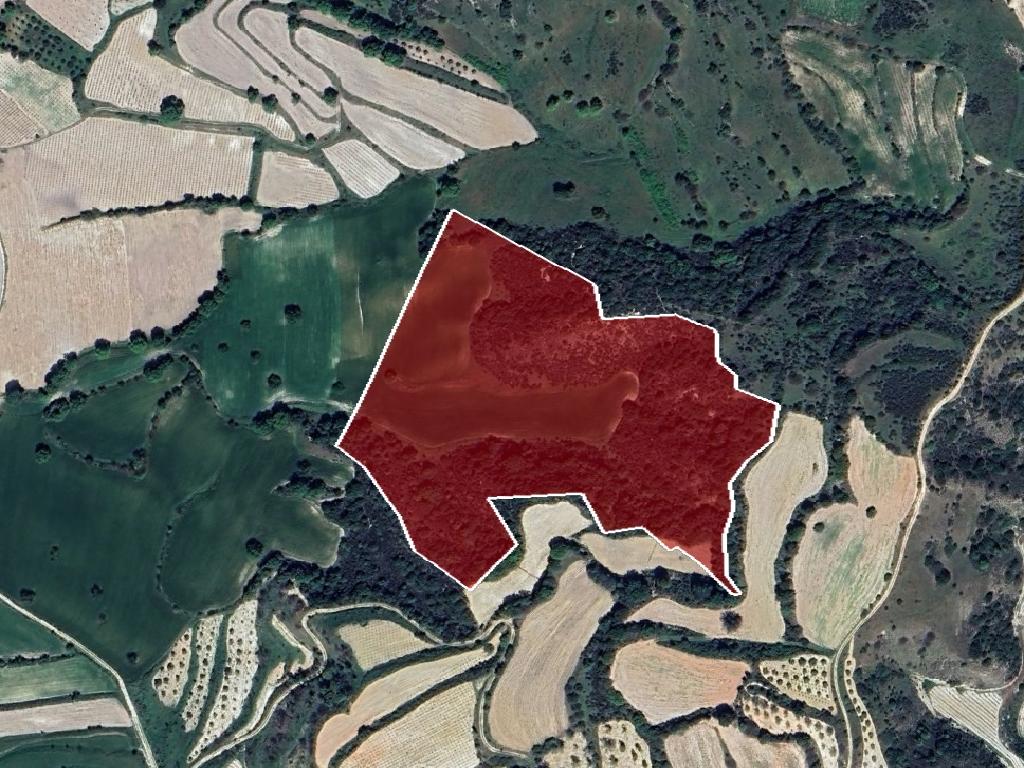 Field (share) - Lemona, Paphos