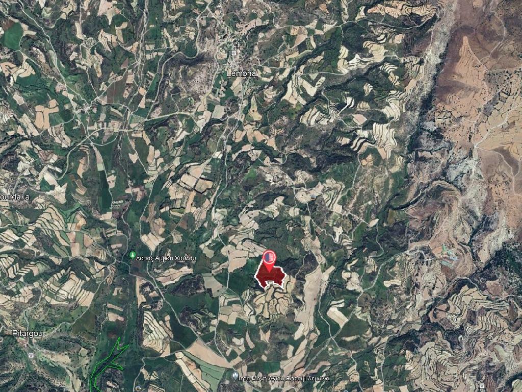 Field (share) - Lemona, Paphos