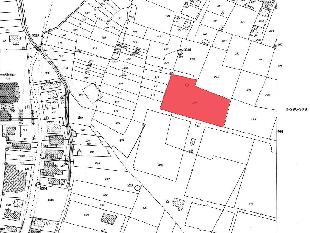 Field-Paralimni-PR40556