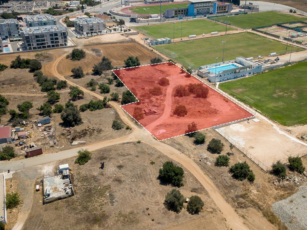 Field-Paralimni-PR40556