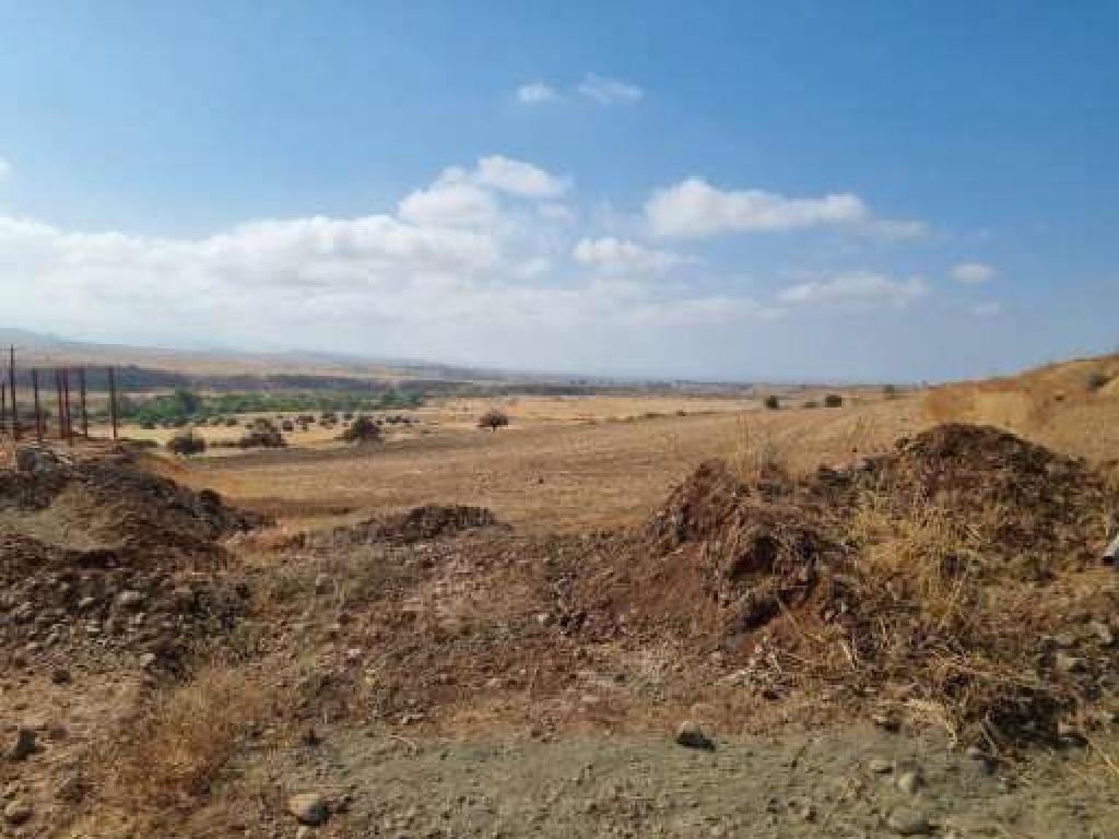 Field - Kato Koutrafas, Nicosia