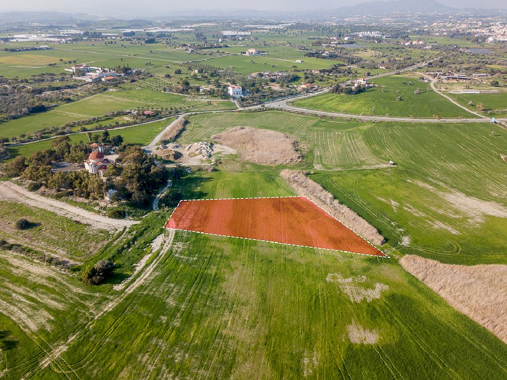Field-Mazotos-PR41768