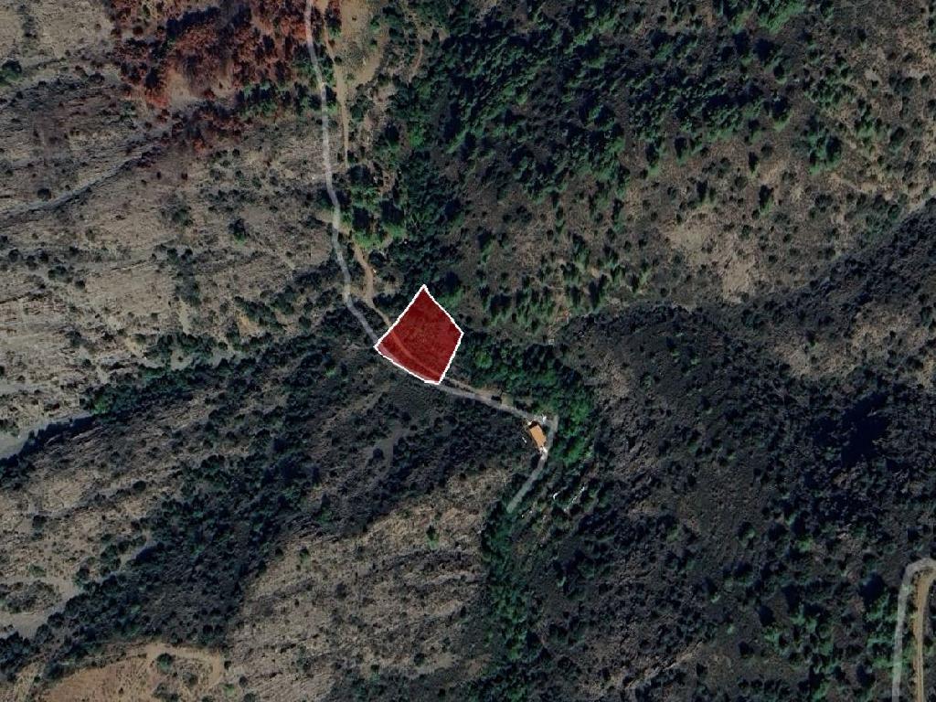 Field-Farmakas-PR41871