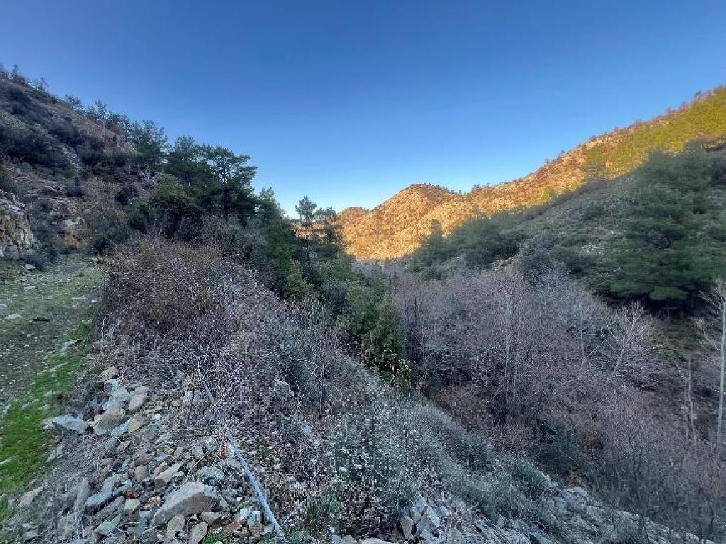 Field-Farmakas-PR41871